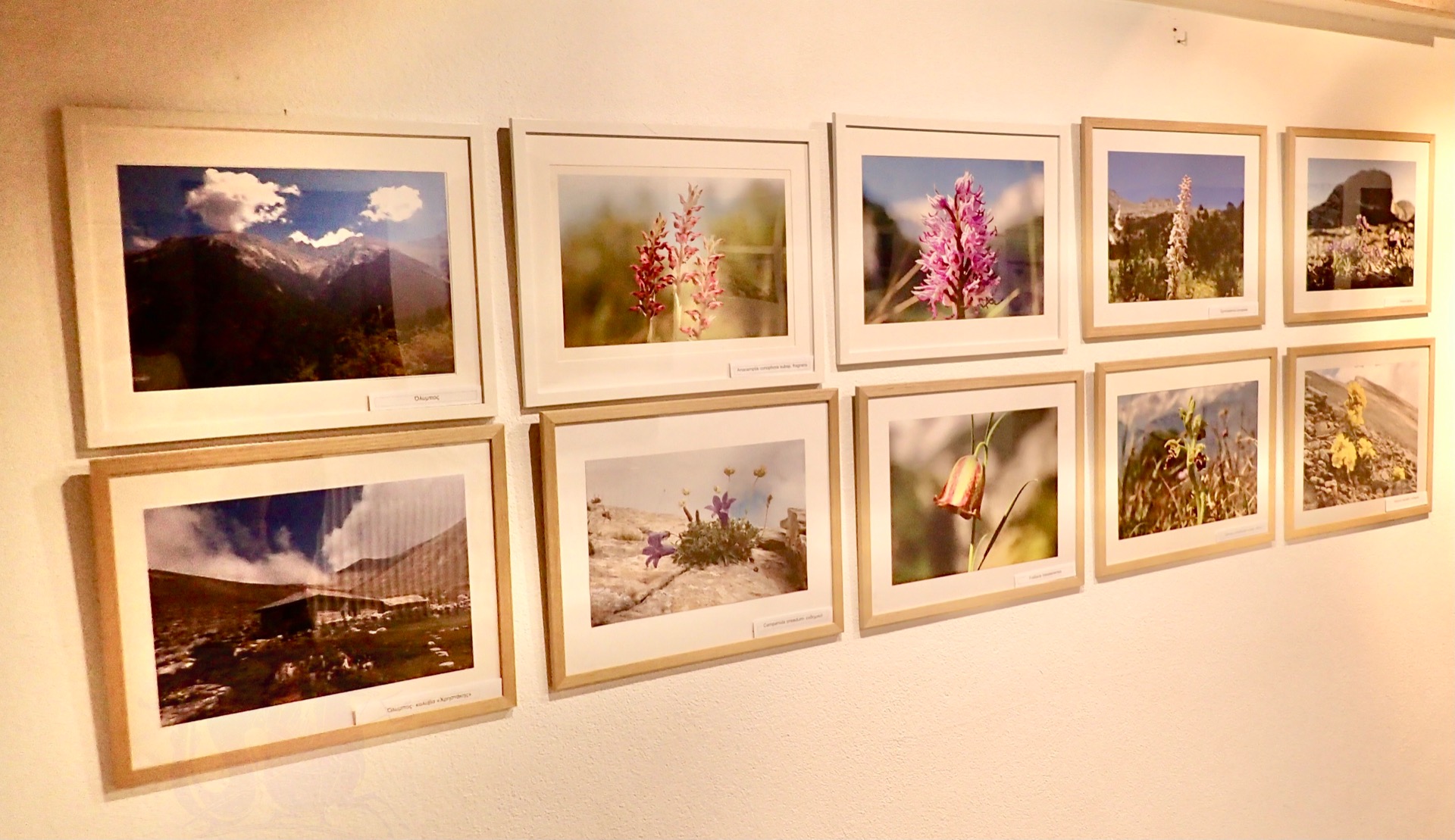 Από έκθεση φωτογραφιών του Λευτέρη Κηπόπουλου